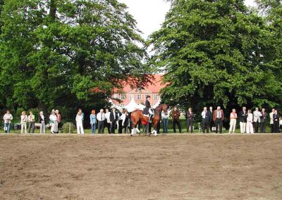 Herrenhaus Borghorst Dressur