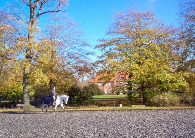 Herrenhaus Borghorst Reiten