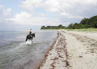 Ostsee Reiten Herrenhaus Borghorst 2