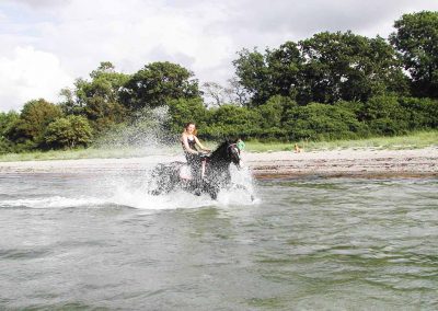 Ostsee Reiten Herrenhaus Borghorst 3