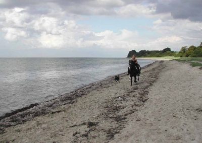 Ostsee Reiten Herrenhaus Borghorst