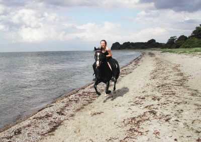 Ostsee Reiten Strand Herrenhaus Borghorst